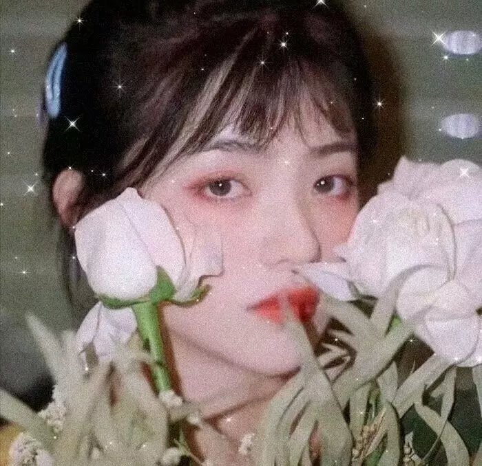波奇亚