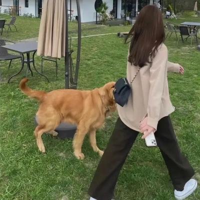 摩斯探长第九季